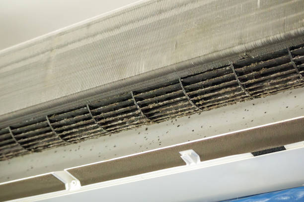 Best Professional Duct Cleaning Services  in Covgton, IN